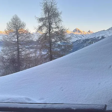 Ski-in And Out In 2000 Apartment